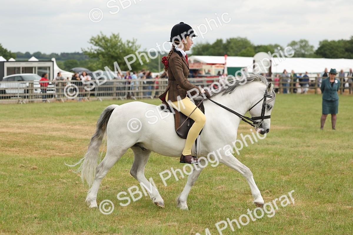 SBM_07107 - Class 76-77 - Ridden M&M Welsh Ponies