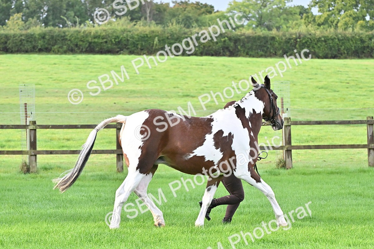SBM_32624 - S15 - Top Turnout In Hand
