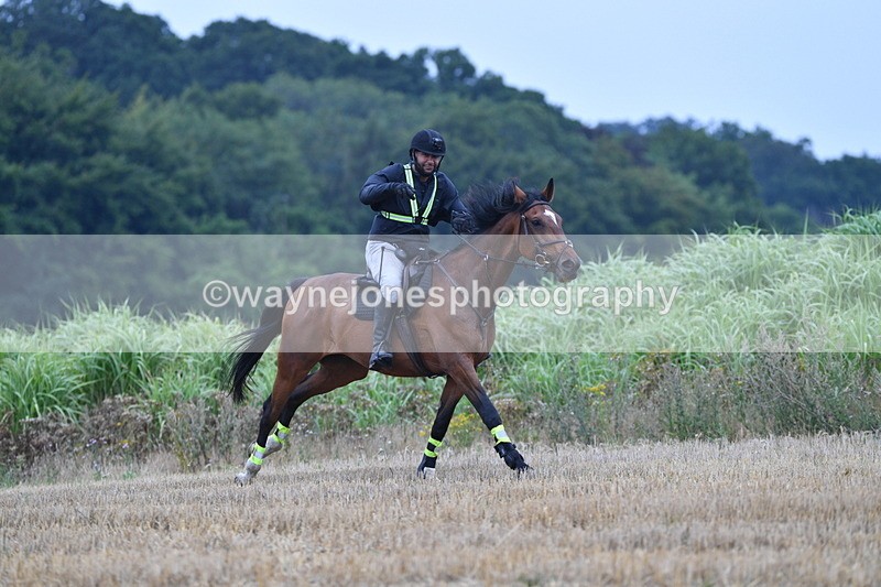 WJ5_3266 - Sofian Francis