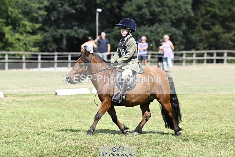 250822A-115517-22436 - DR 11.00 to 12.00