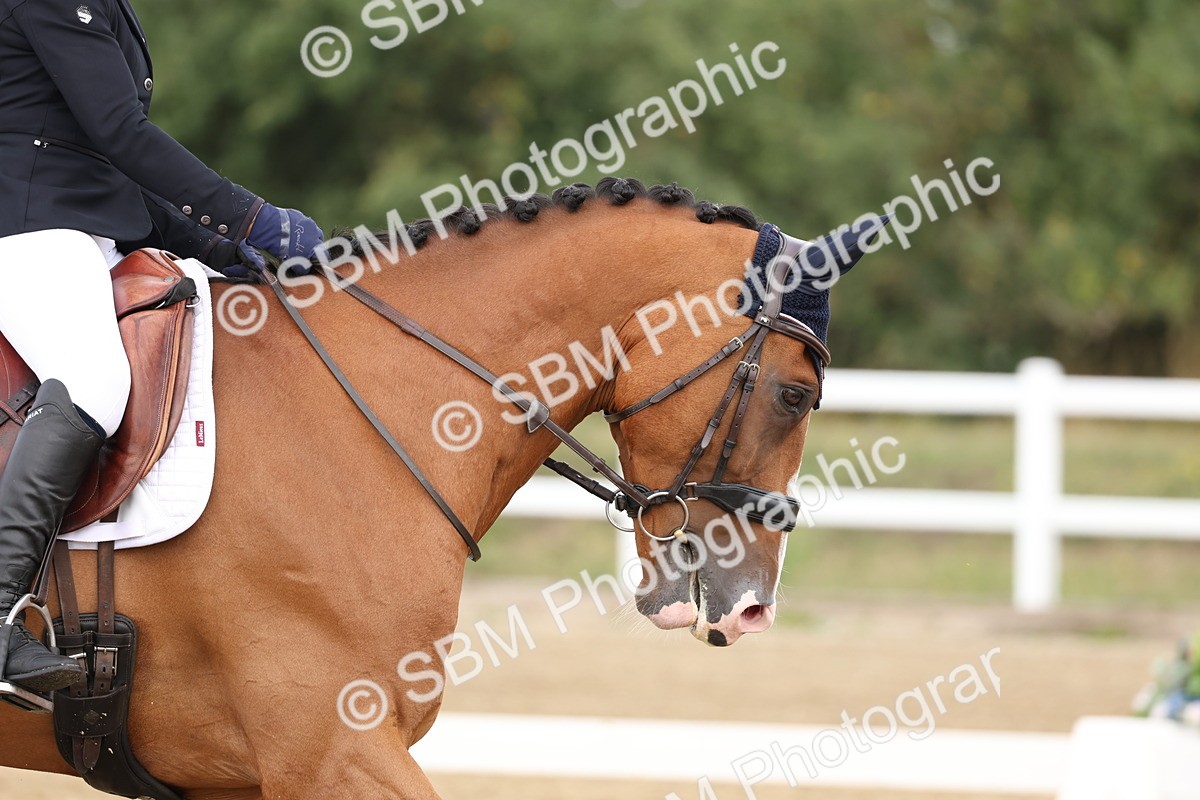 SBM_006266 - Class 6 - novice 6 - 11.50-12.46