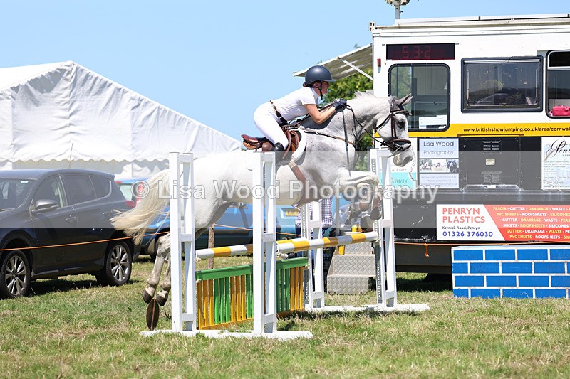 3E7A5629 - Class 9: Senior British Novice/90cm open