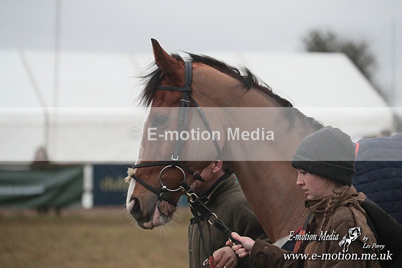 PtP 260125 409 - Cocklebarrow Point-to-Point racing with the Heythrop Hunt 26/01/25