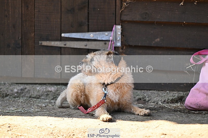 240729B-091509-01750 - Monday Stable Shots