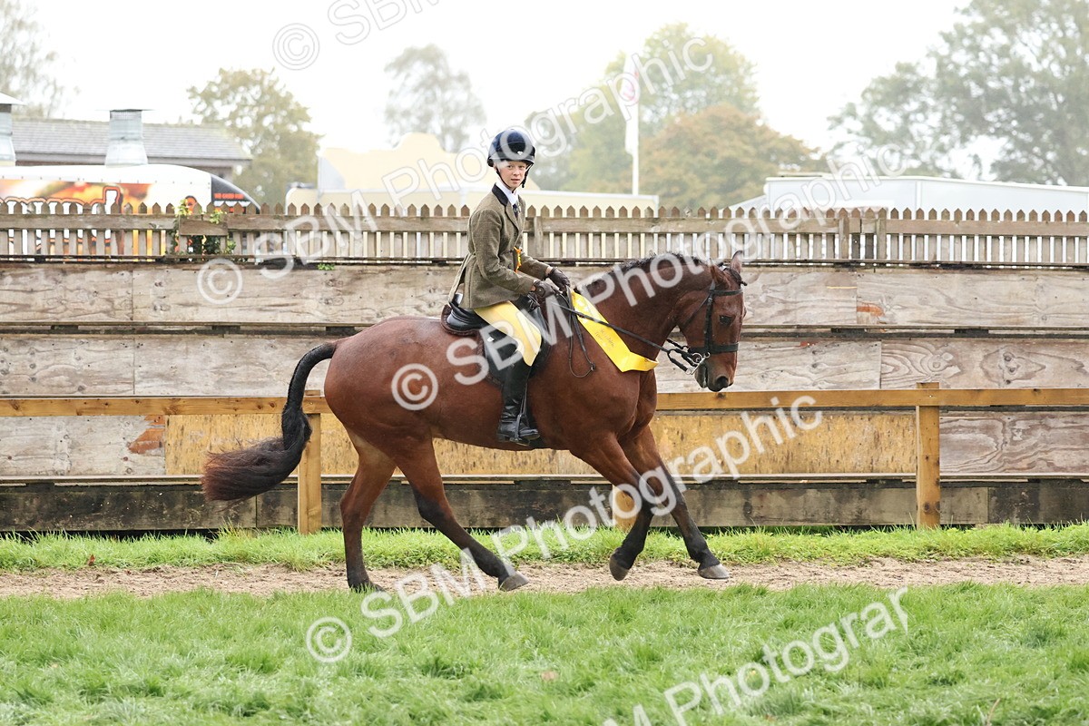 SBM_73134 - Ridden Pony Supreme Championship