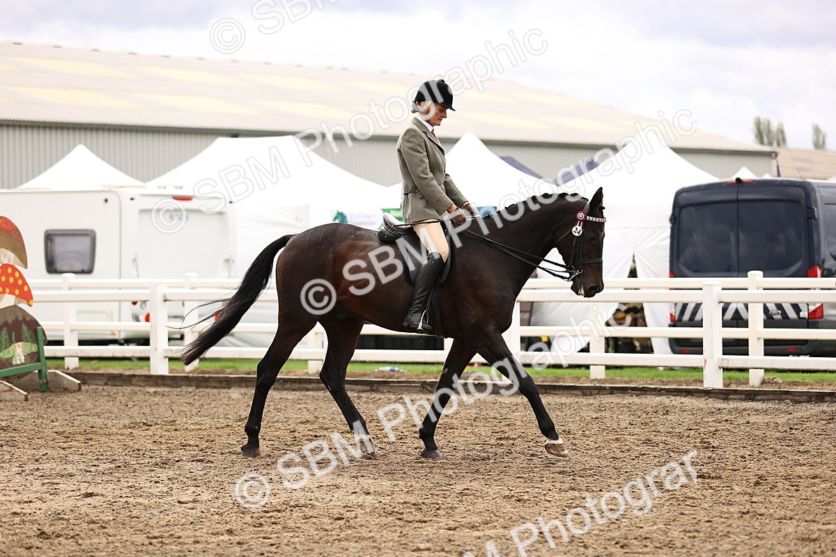 SBM_00550 - Class 53 - Ridden Competition Horse Pony