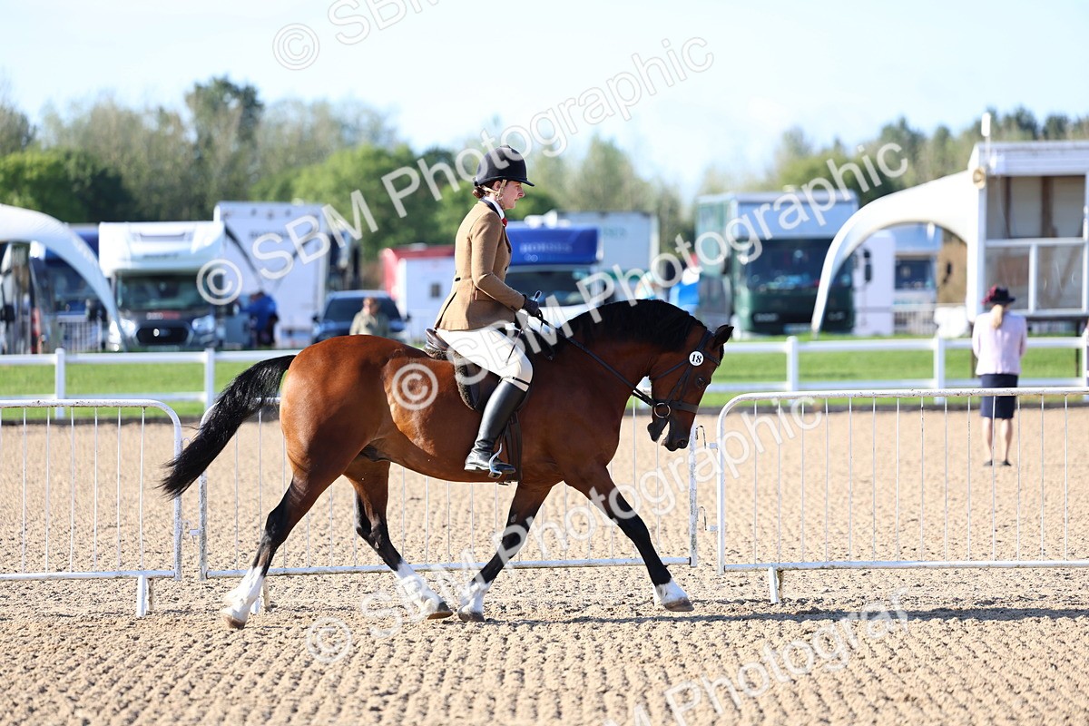 SBM_08729 - Class 302 - Ridden M&M - Large Breeds