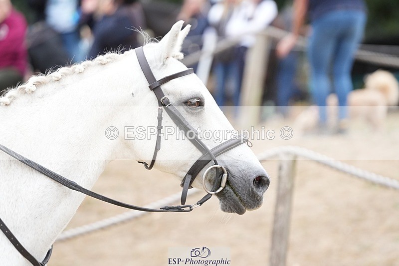 250820A-113051-04291 - Round 2, 10.45 to 11.45 Break