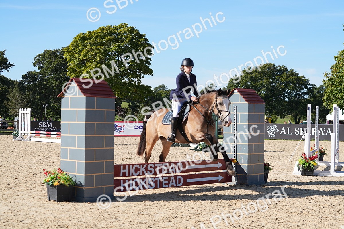 SBM_36207 - J 20 - Junior Horse 50cm Championship