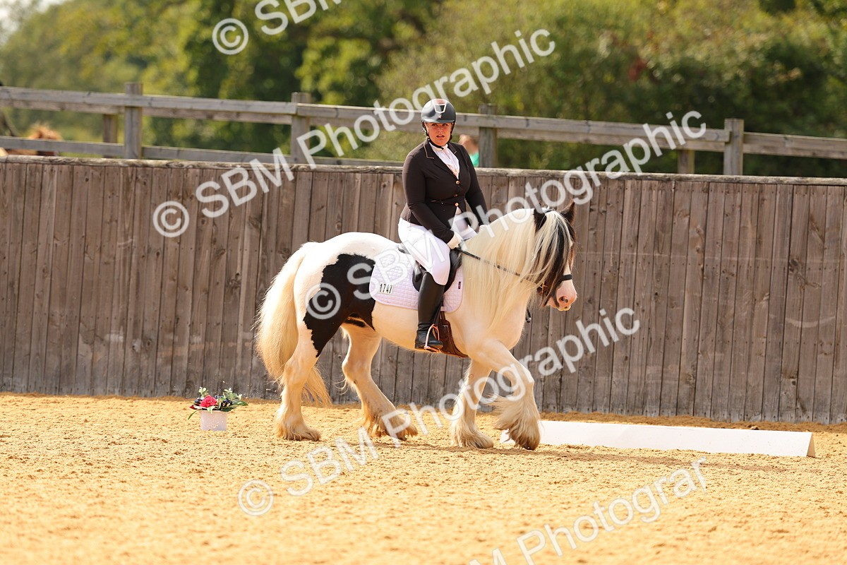 SBM_47436 - D6 - Small Tour Championship - Intro C