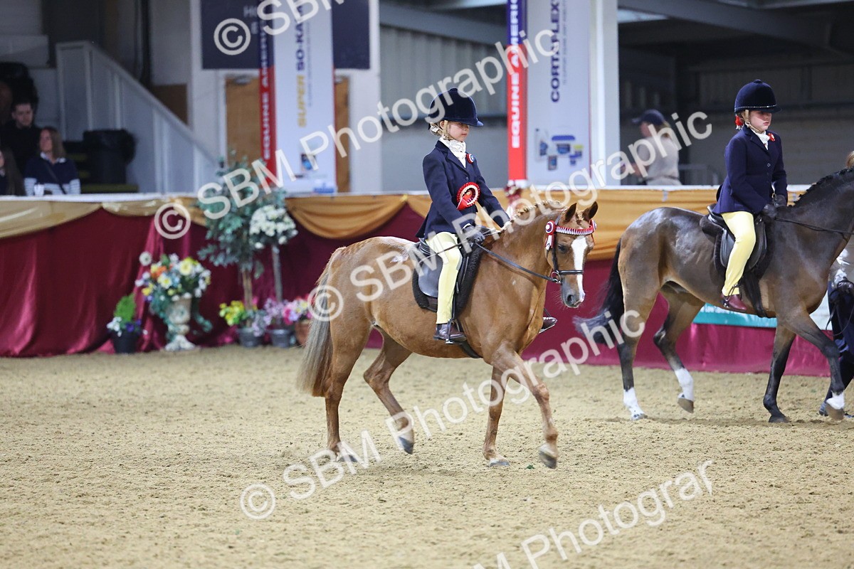 SBM_18986 - Class G Ridden Pony Champ
