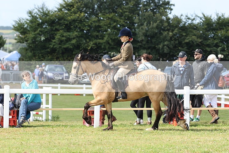 JPP_0815 - Class 16: Cornish Combination Young Rider