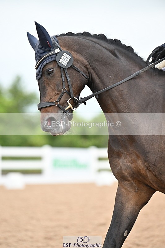 240623A-170542-20312 - Cls 57 BD Adv Medium 98