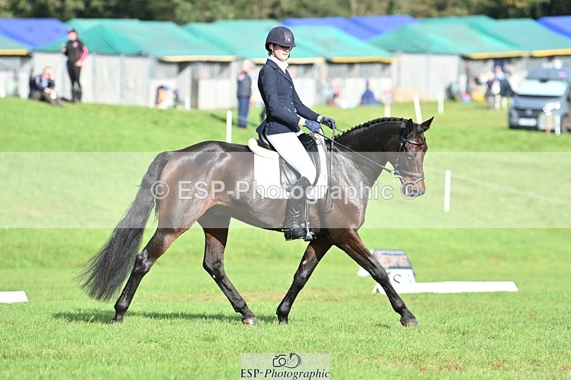 231020-111021-07802 - 645-COOLEY.CORPELLO-Francesca.Swallow-DR