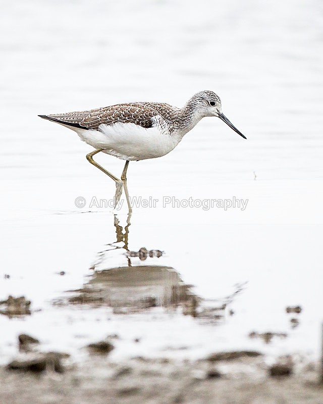 20131001-3K8A6481 - Waders
