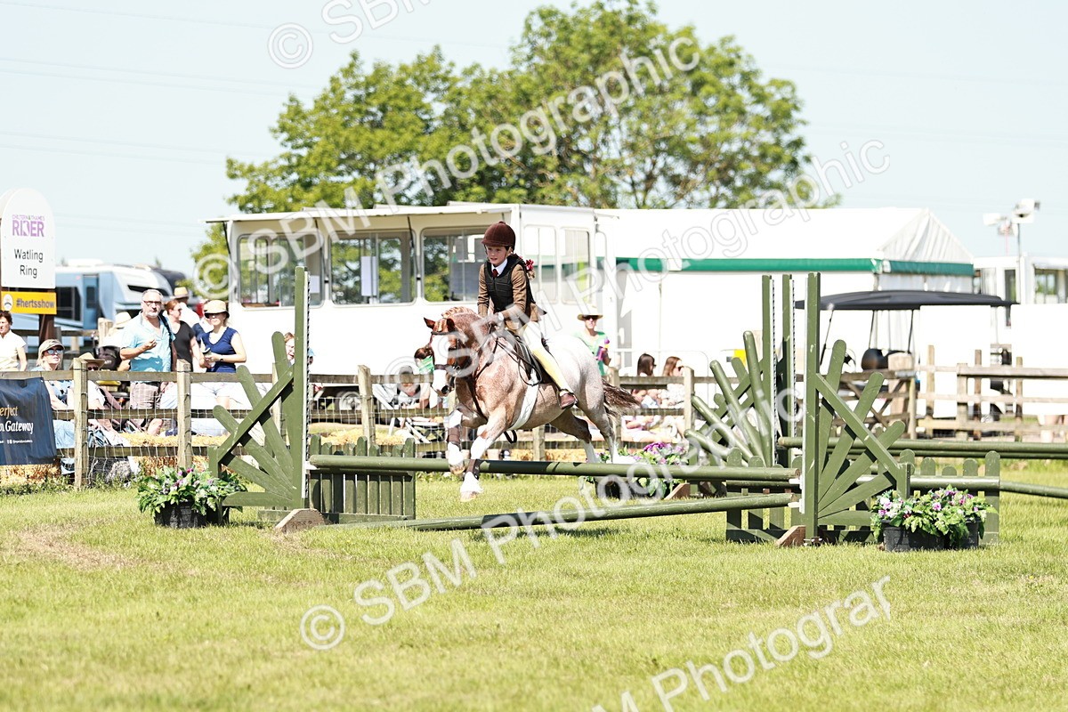 SBM_13502 - Class 108-109 - BSPS LIHS Open Gradle & Nursery Stakes
