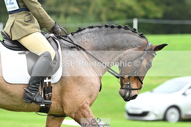 241024-145907-04662 - 422-Janine.Paterson-LAHINCH.TEDDY