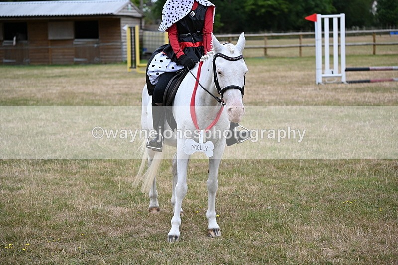 WJ6_4963 - Class 11 Fancy Dress