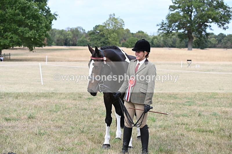 WJ6_6304 - Class 19 In-hand Veterans (Uploaded correct folder)