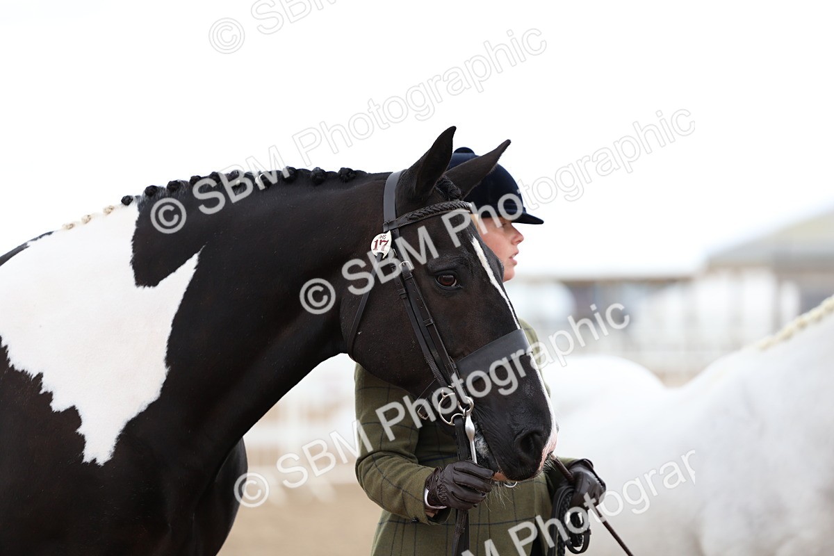SBM_05132 - Class 27 - IH Competition Horse or Pony