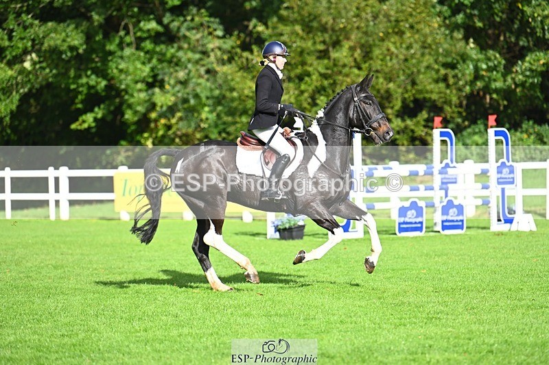 231020-111022-06366 - 101-RICARDO.COLOURS.II-Elizabeth.Wadey-SJ