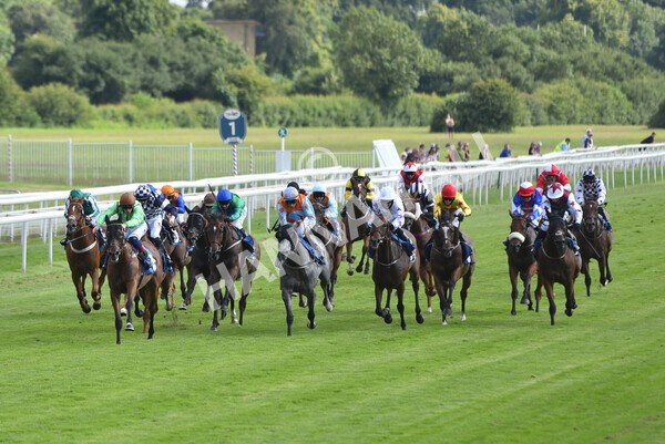 yr09072021r5-39 - Race 5: 4.20pm Garbutt + Elliott Stakes