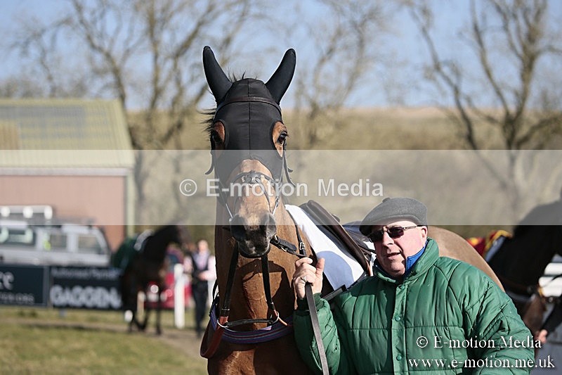 PtP 240218 193 - Vine & Craven Hunt Point-to-Point Barbury racecourse 24/02/18