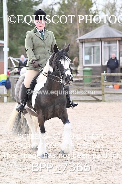 BPP_7366 - RING 1  (RIDDEN HORSES / IN HAND / VETERAN ETC)