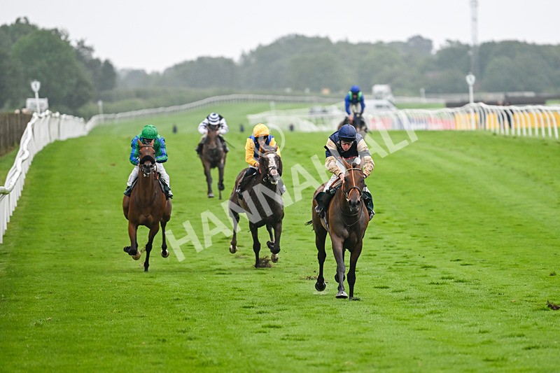 230725-Race 5-Bosphorus Rose-0439 - Race 5