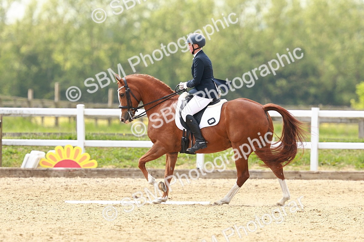 SBM_002872 - Class 12 - Medium 4