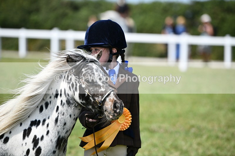 DSC_8054 - Class 66: Child Handler 10 years and under