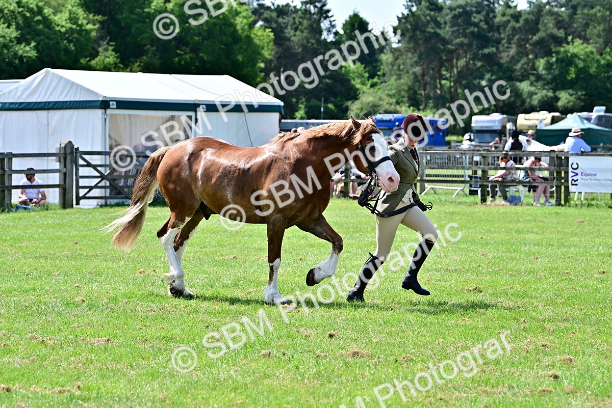SBM_03914 - Class 58 - TSR  Ridden Veteran Amateur of the year