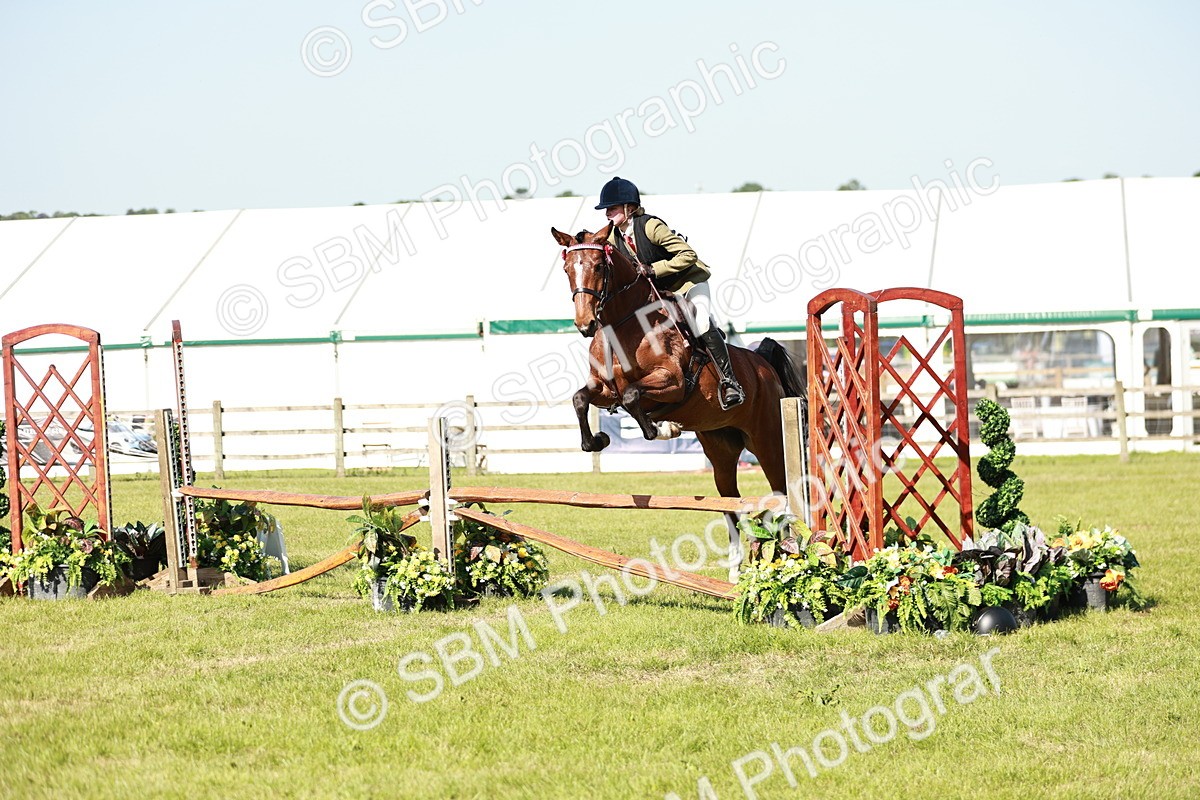 SBM_19128 - Class 115-116 - LIHS BSHA Rising Star Working Hunter & Show Horse