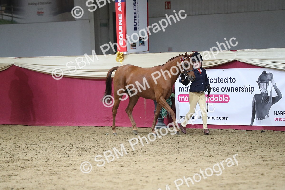 SBM_06380 - Class 9R Regional- IH Pre Vet