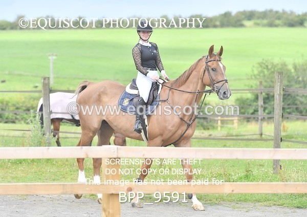 BPP_9591 - CLASS 8 Senior Foxhunter/ 1.20m Open