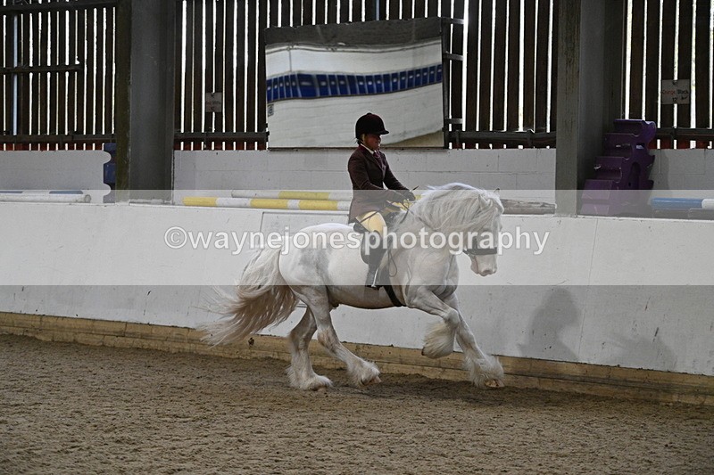 WJ7_4223 - Class 17 Ridden Cob