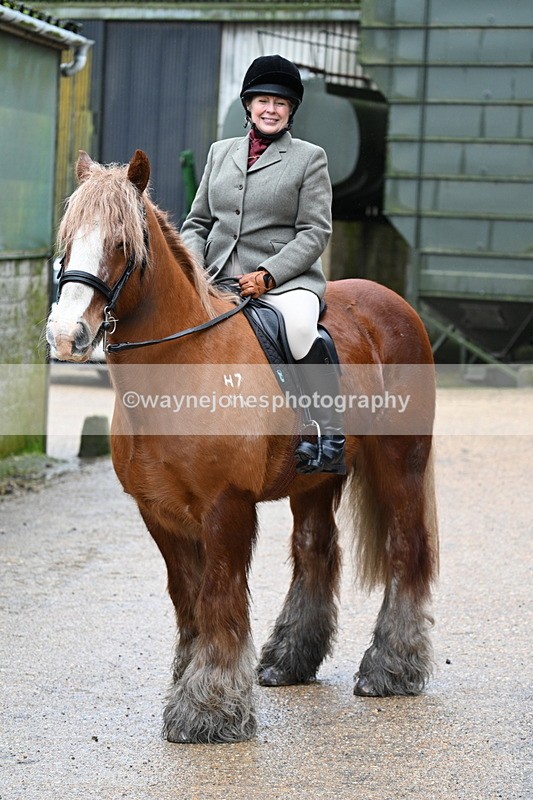 WJ7_8698 - Berks & Bucks - Rowles Farm 15-02-26