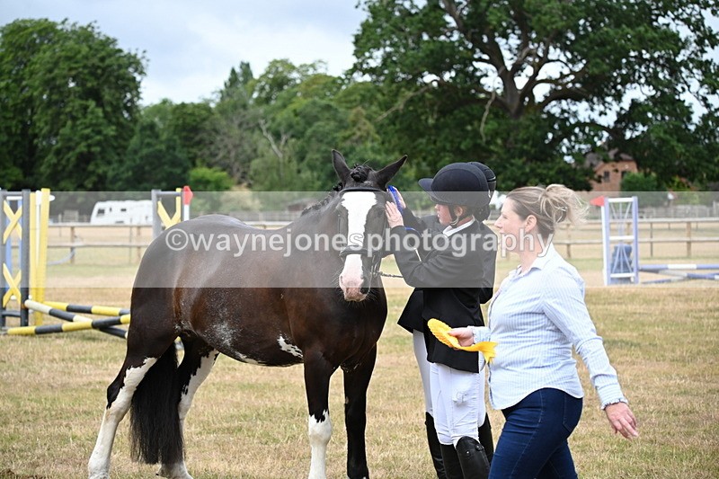 WJ6_4466 - Class 10 Coloured In-hand