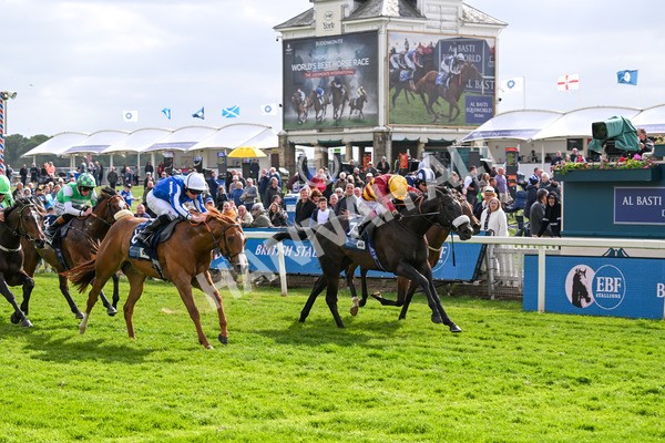 150525-Tropical Storm-4893 - Race 5 4.18pm British Stallion Studs EBF Westow Stakes