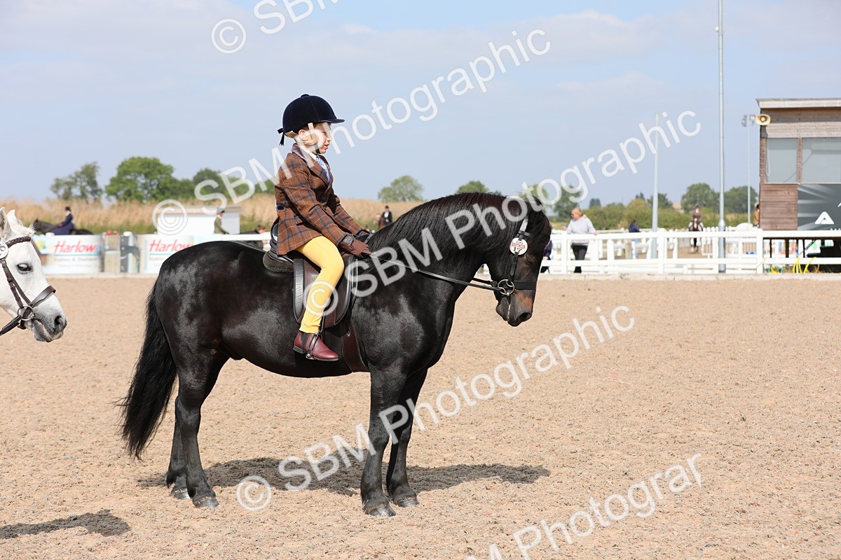 SBM_14735 - Class 310 First Ridden Pony