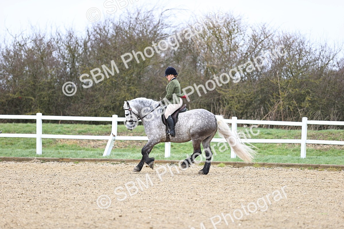 SBM_007550 - Class 31-32 - M&M Confined Novice Small-Large