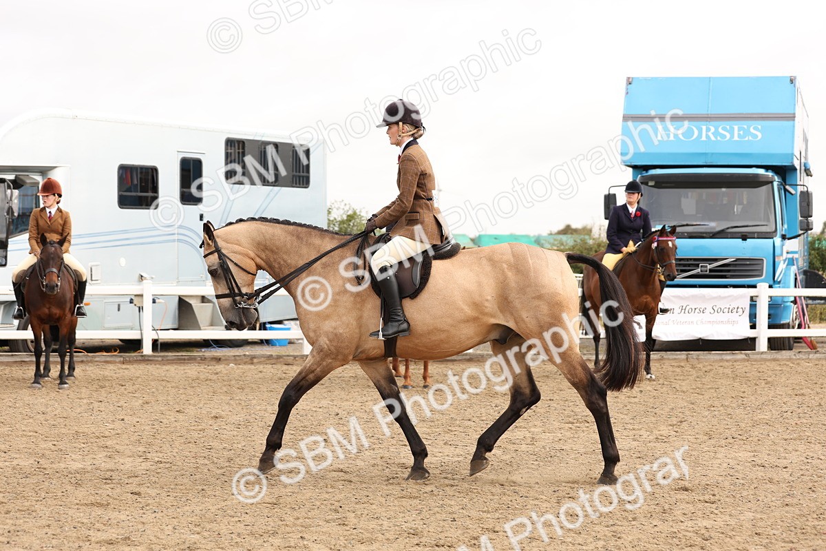 SBM_01582 - Class 52 - Ridden Veteran