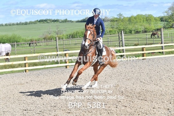 BPP_5381 - CLASS 22 SUN Club/ Unaffiliated 80cms Open