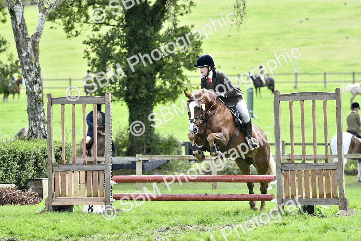 SBM_45648 - S33 - Working Hunter Pony
