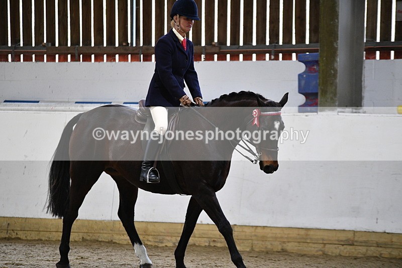 WJ5_7840 - Class 13 Ridden Part Breed