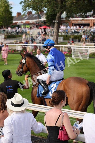 yr08072022r7-6 - Race 7 5.30pm Jigsaw Sports Branding Handicap