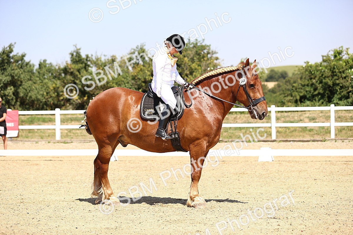 SBM_004141 - Intro 2