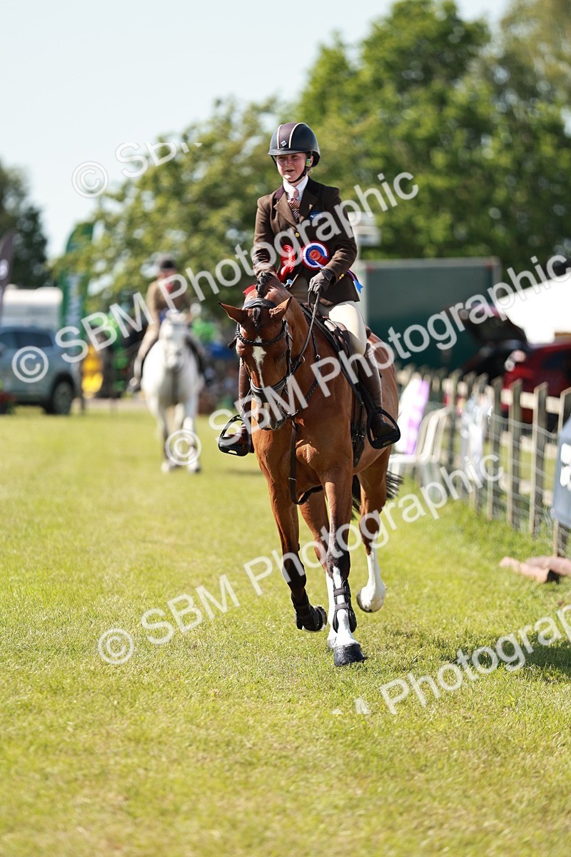SBM_18564 - Class 112-113 - BSPS LIHS Working Sports Pony