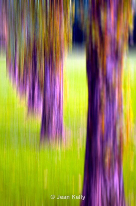 Tree - 3894 motion blur - Motion blur filter effect