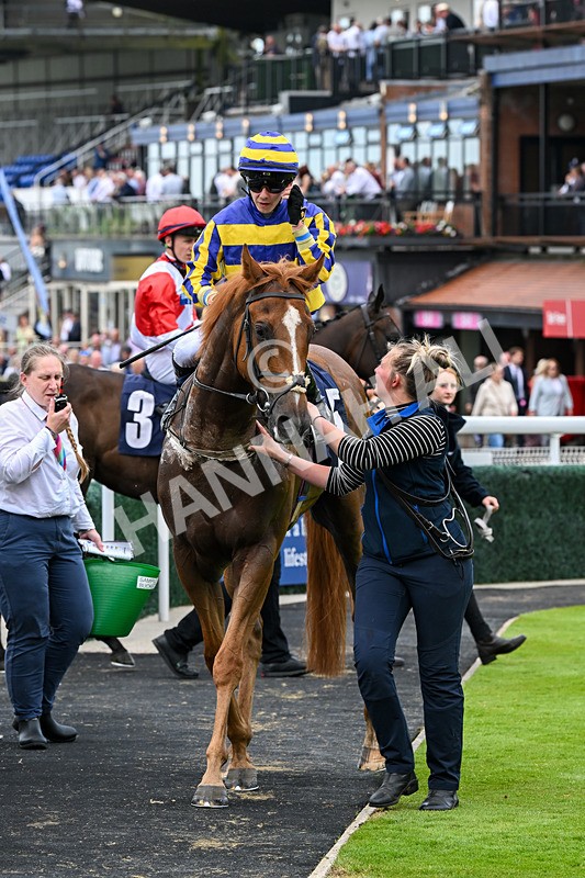 240625-Race 7-Azuinthejungle-9377 - Race 7